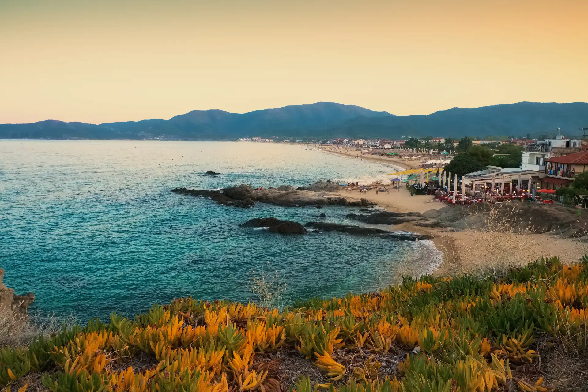 Creating a Stunning Mediterranean Landscape - costa-delsol.com