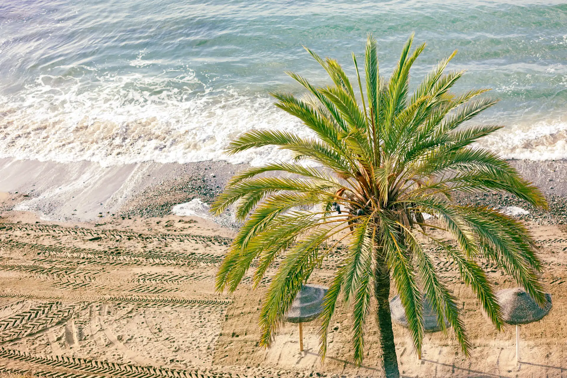 Discover the Best Events in Malaga - costa-delsol.com