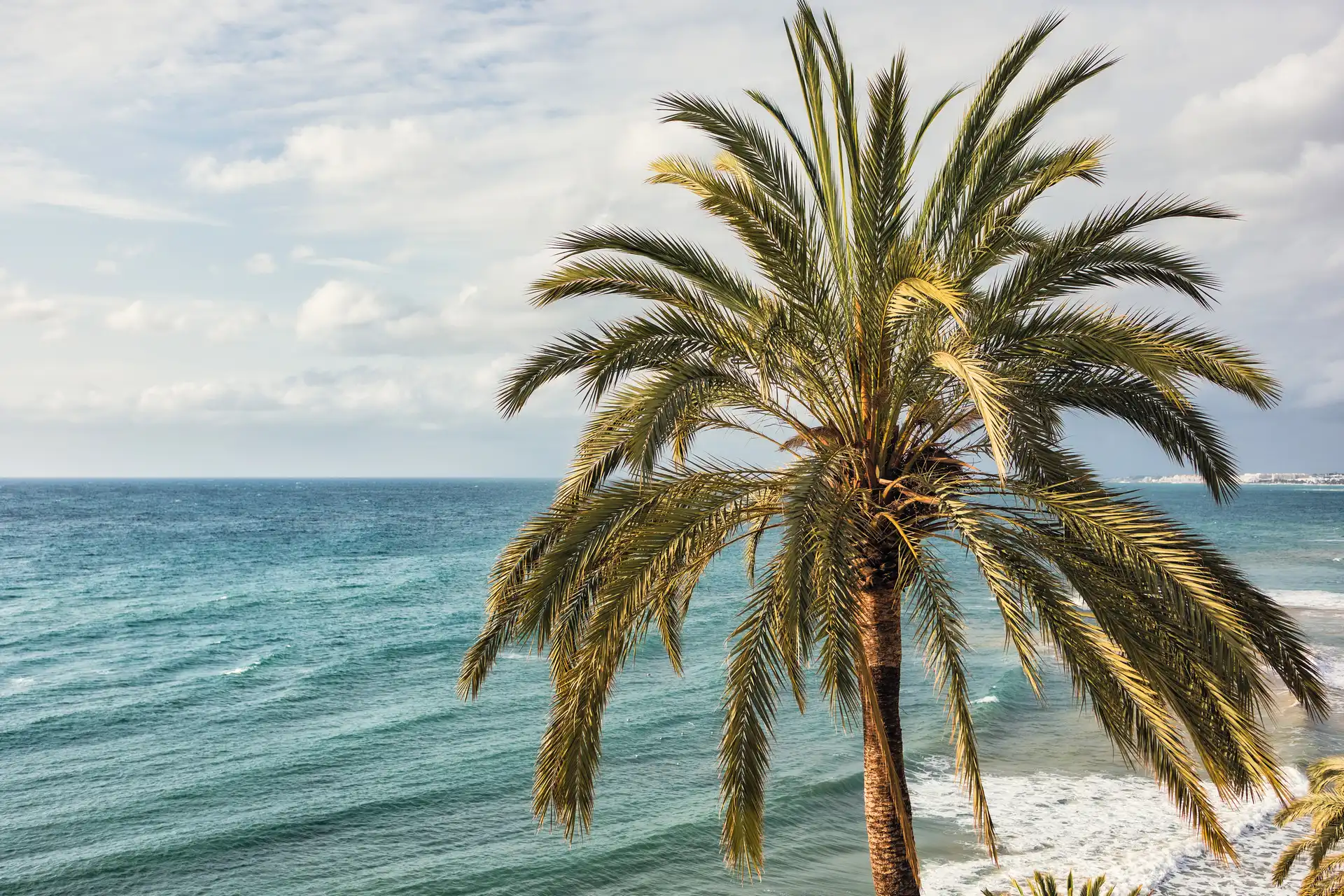 Experience the Ultimate Luxury with Yachts in Marbella - costa-delsol.com