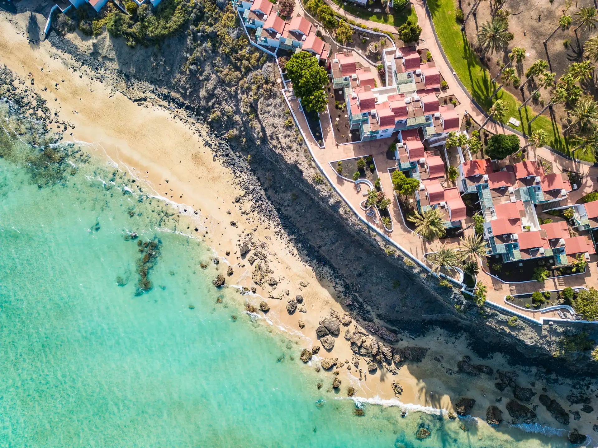 Exploring Mediterranean Marine Life - costa-delsol.com