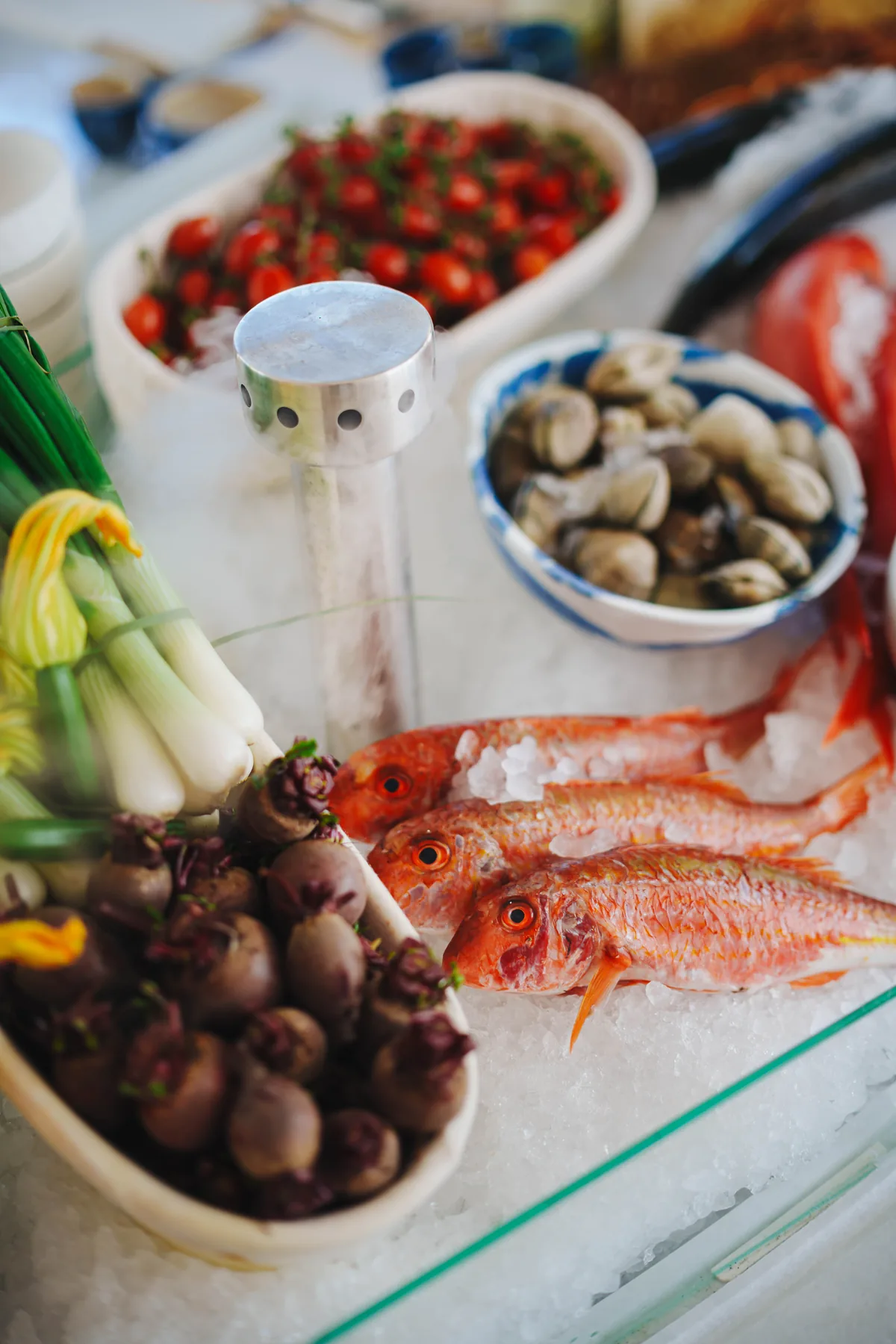 Fish, clams and vegetables on ice at the Sea Grill seafood bar, Puente Romano Marbella