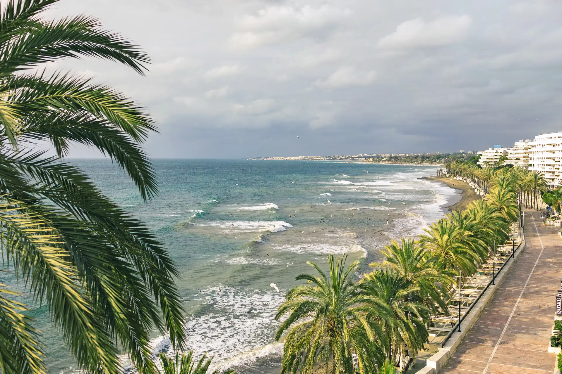 Top 5 Must-Try Tapas in Costa del Sol - costa-delsol.com