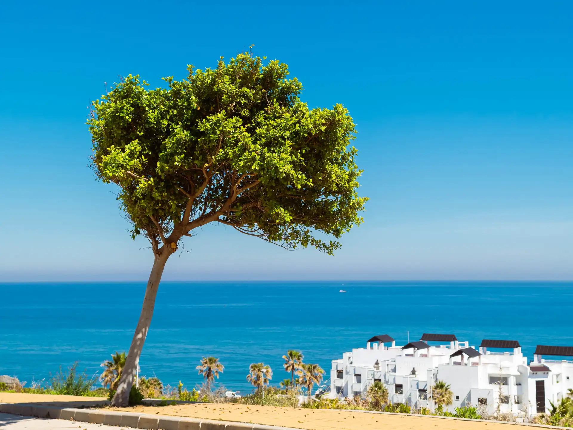 Top Beach Restaurants in Costa del Sol - costa-delsol.com