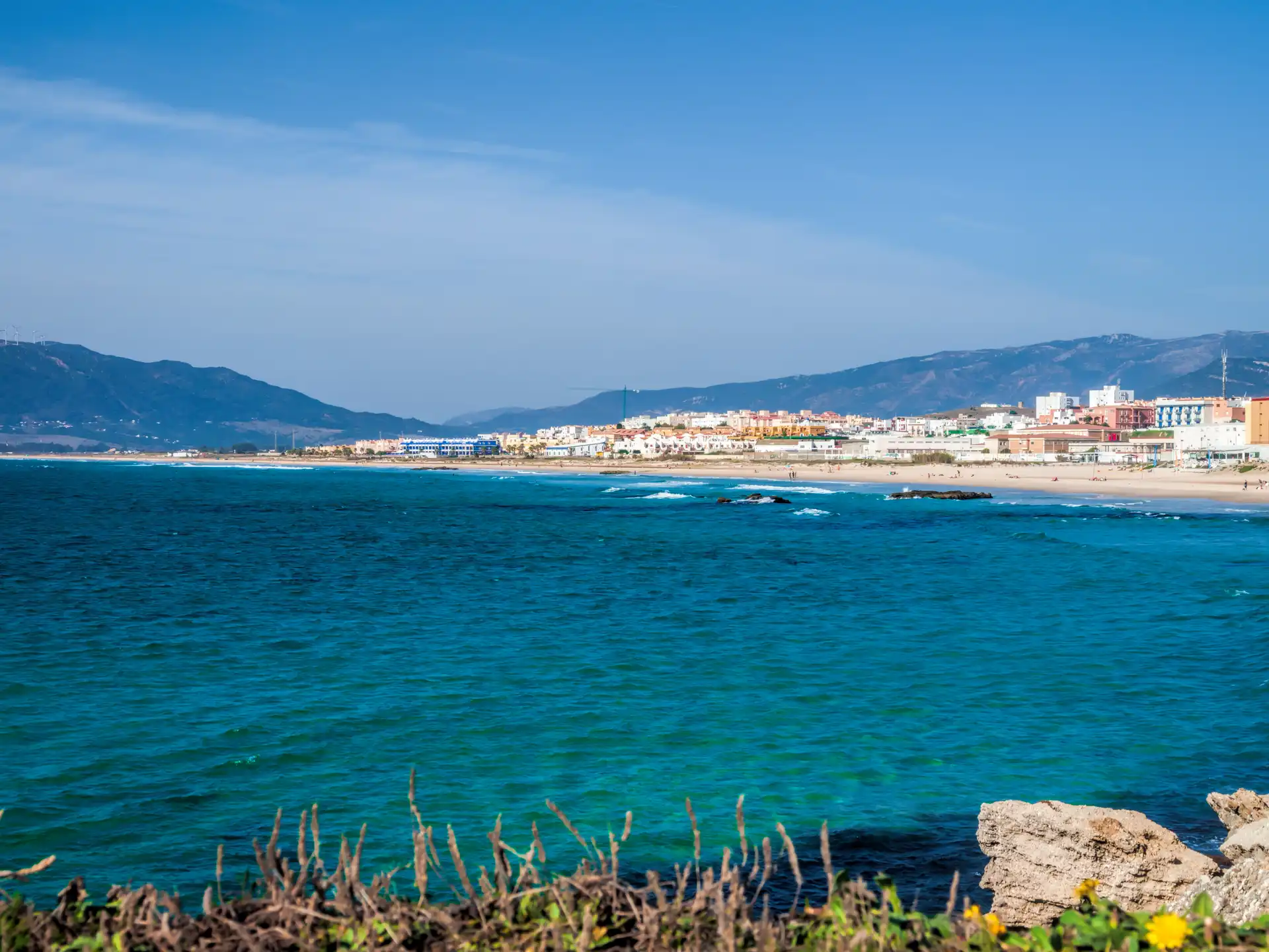 Top Tapas in Malaga: A Culinary Adventure - costa-delsol.com