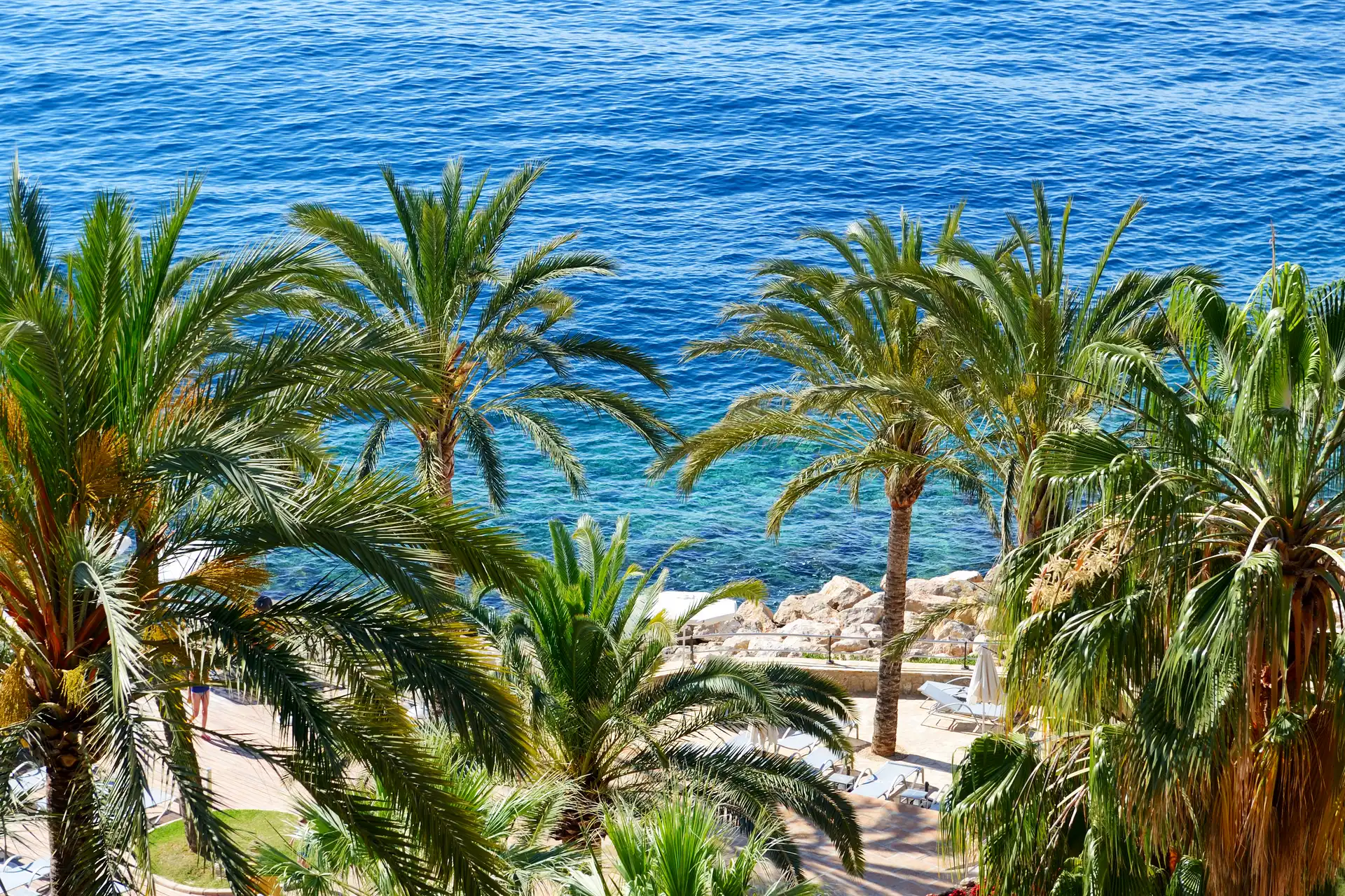 Ultimate Guide to Corporate Events in Marbella - costa-delsol.com