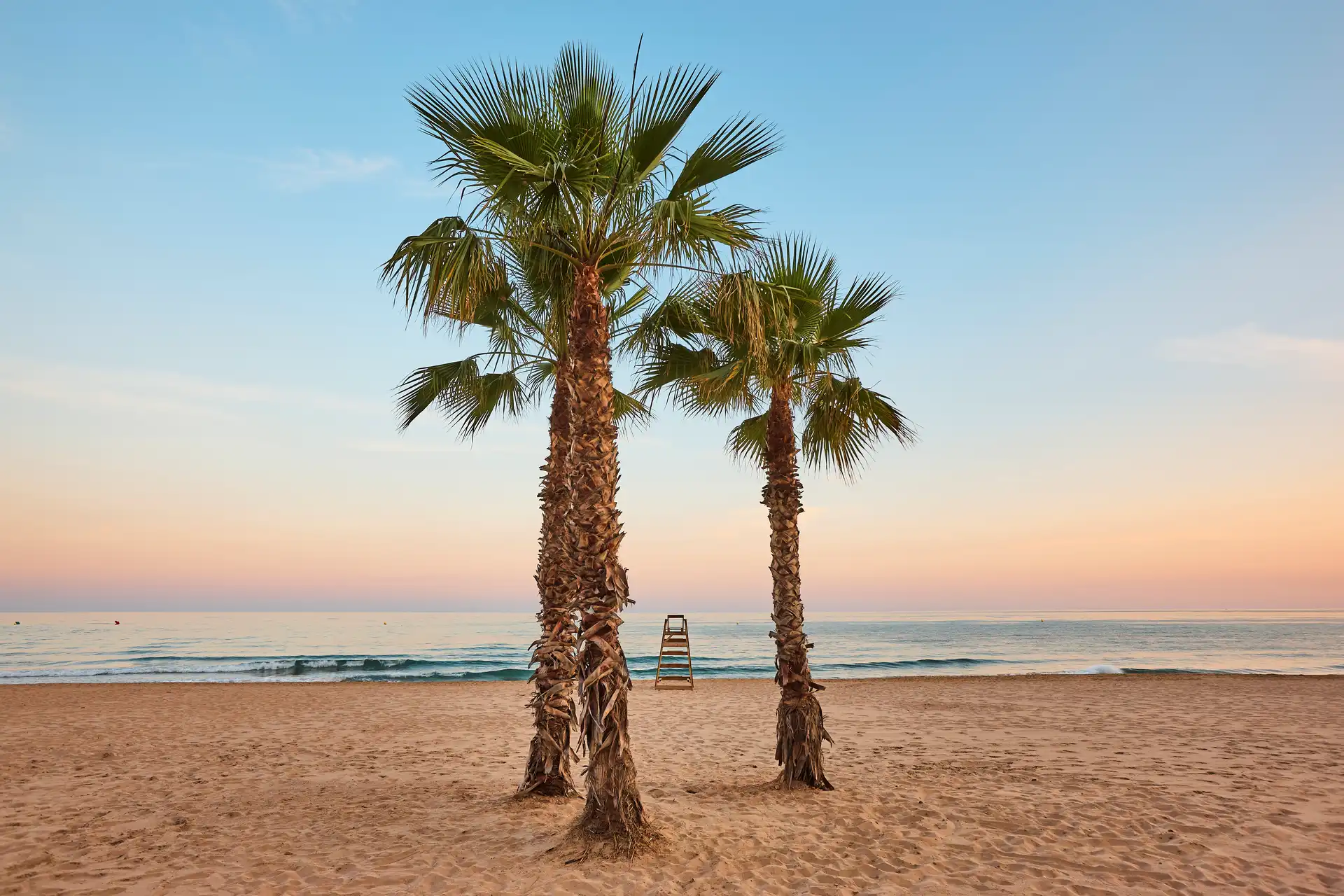 Your Ultimate Costa del Sol Investment Guide - costa-delsol.com